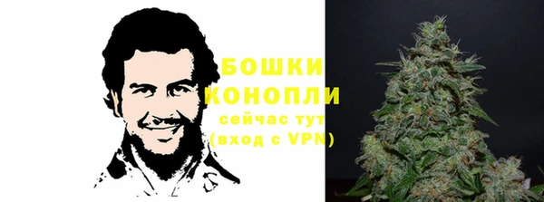 крисы Калининец