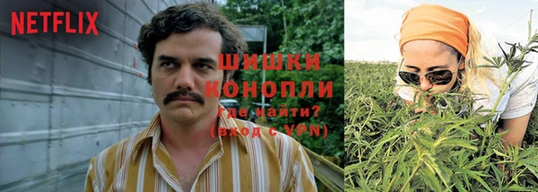 сатива Протвино