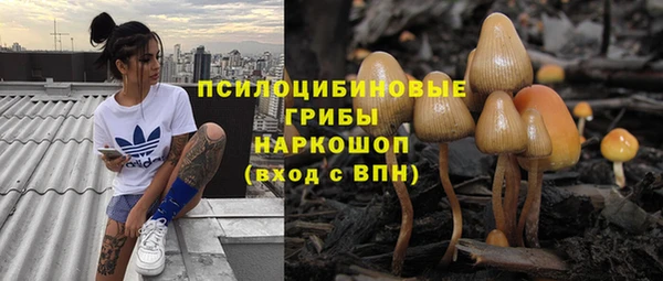 ПСИЛОЦИБИНОВЫЕ ГРИБЫ Пролетарск