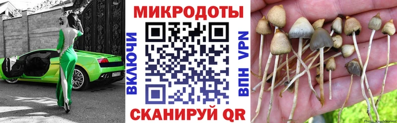 закладки Бабушкин Галлюциногенные грибы GOLDEN TEACHER